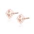 Cercei argint placati cu aur roz cu pietre roz 5mm DiAmanti 1CO5ERG_MO-DIA (Argint 925‰ 0,7 g.)